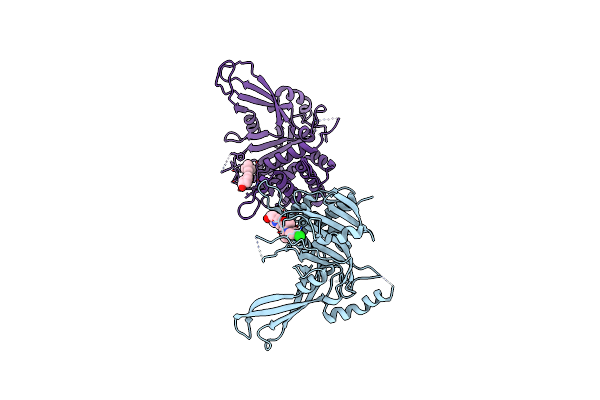 6IIM image