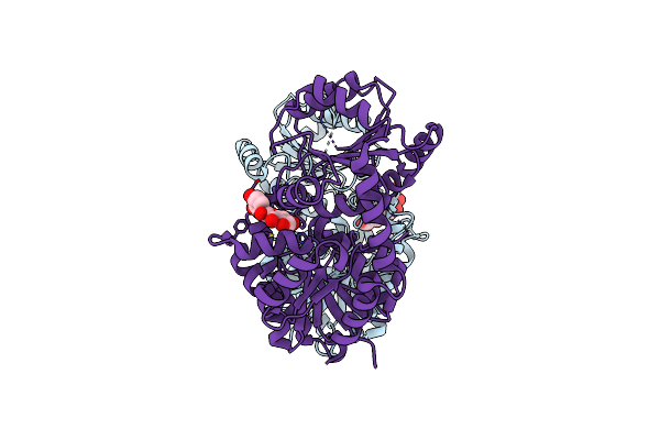 6IJD image
