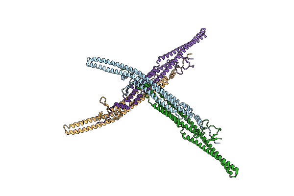 6IKN image