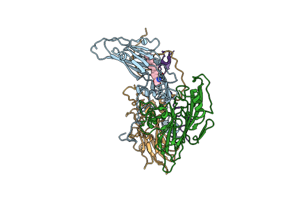 6ILP image