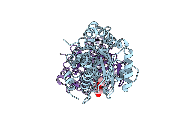 6ILR image