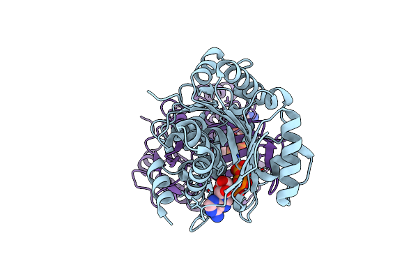 6ILS image