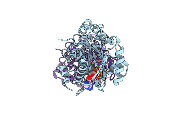 6ILT image