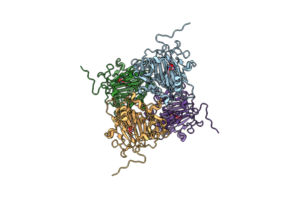 6IMC image