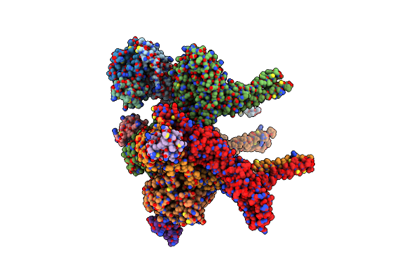 6IMM image