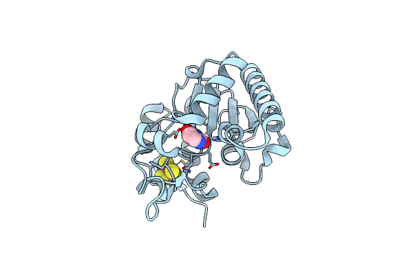 6IOB image