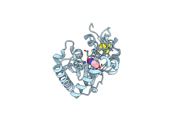 6IOC image