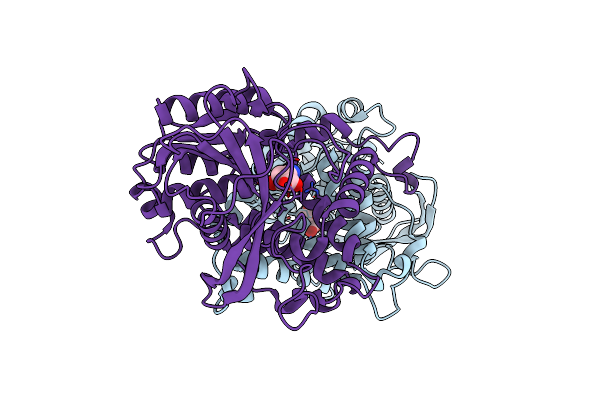 6IOH image