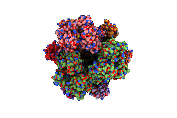 6IOL image