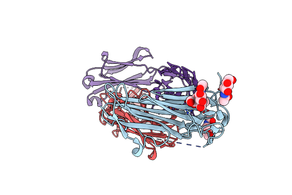 6ION image