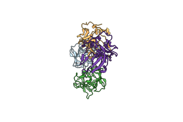 6IPA image