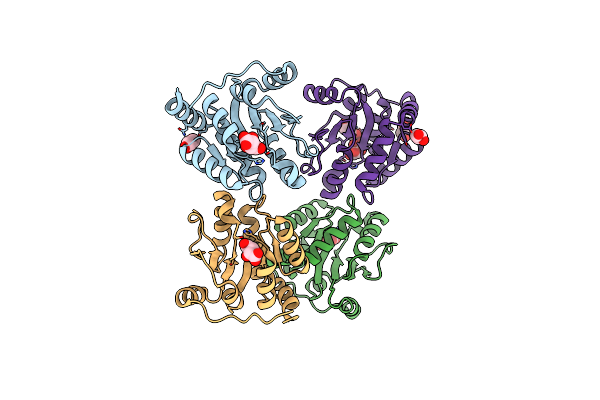 6IPB image