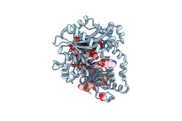6IPD image