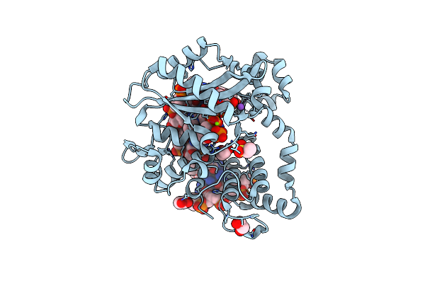 6IPE image