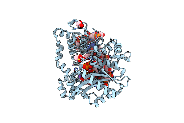 6IPF image