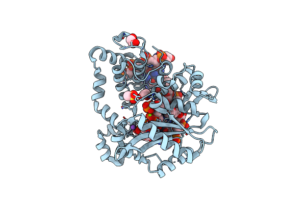 6IPG image