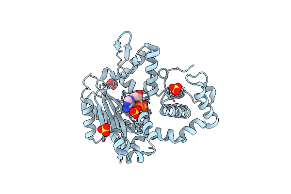 6IPH image