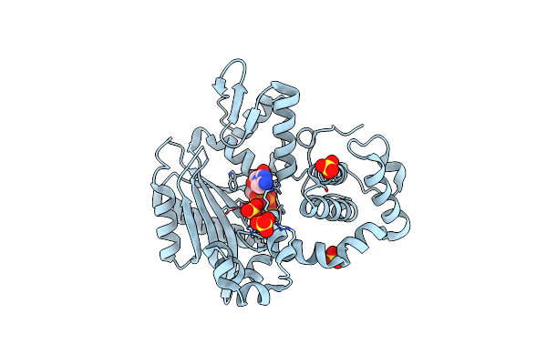 6IPI image