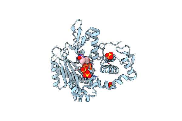 6IPJ image