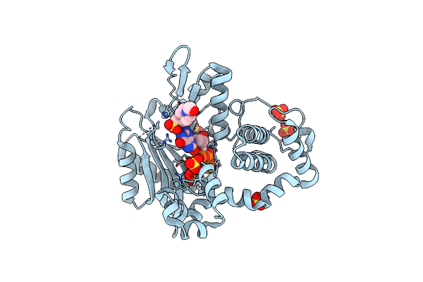6IPK image