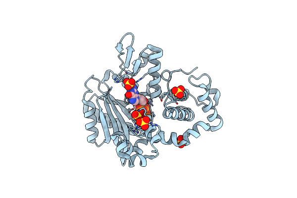 6IPN image