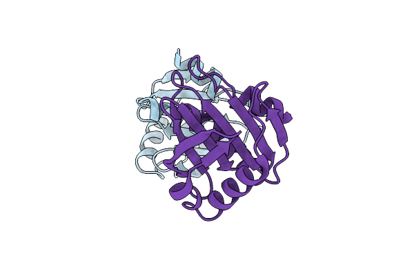 6IQI image