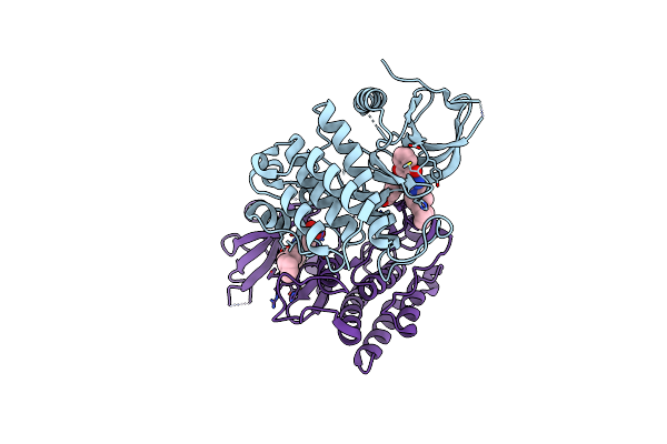 6IQN image