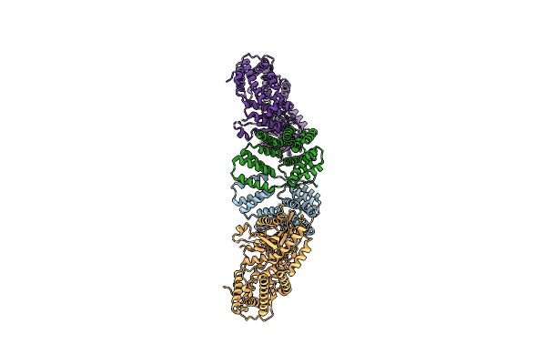 6IQS image