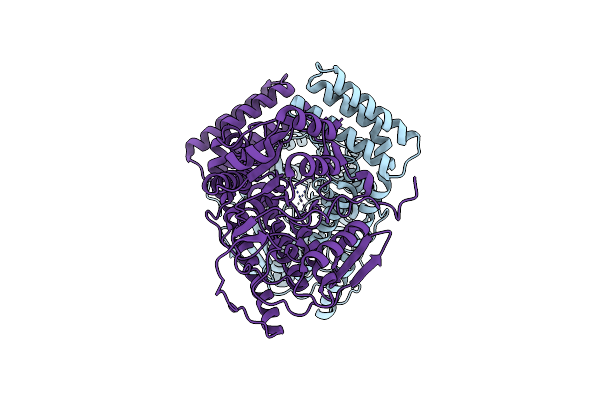 6IRV image