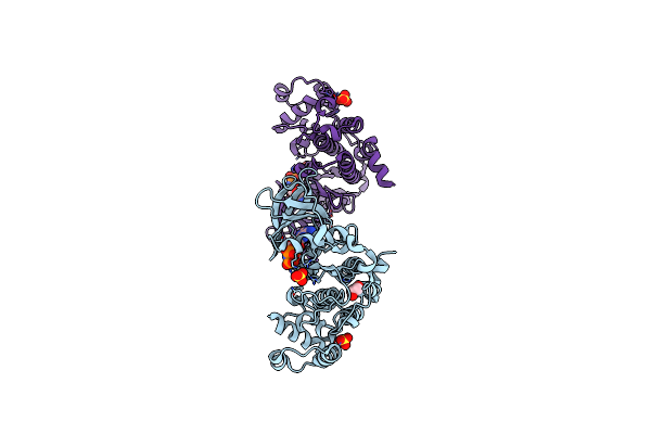 6ISE image