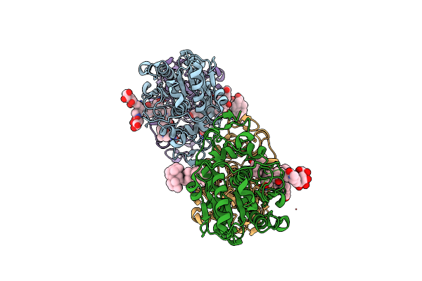6ISP image