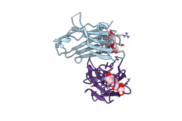 6ITP image