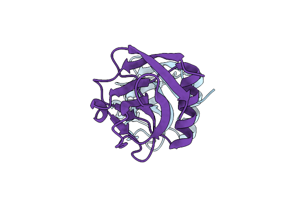 6IVD image