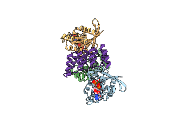 6IYB image