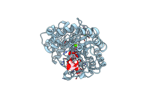6IYG image