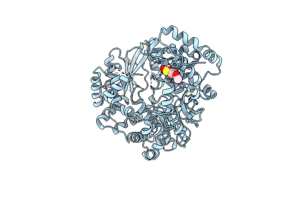 6IZZ image