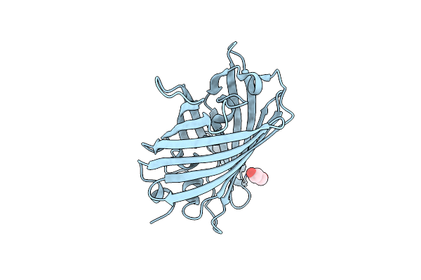 6J1C image