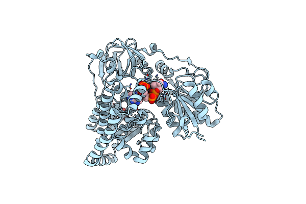 6J1I image