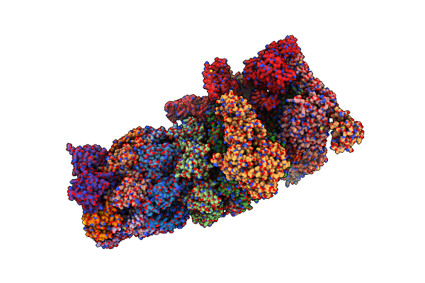 6J2C image