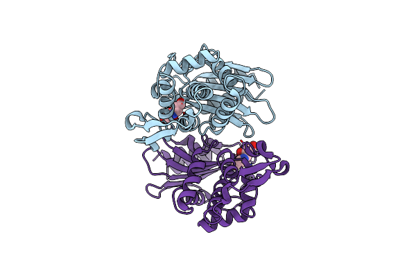 6J2K image