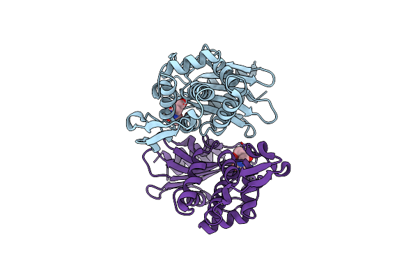 6J2O image