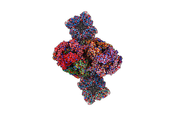 6J3Y image