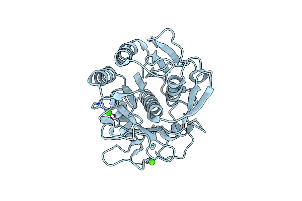 6J43 image