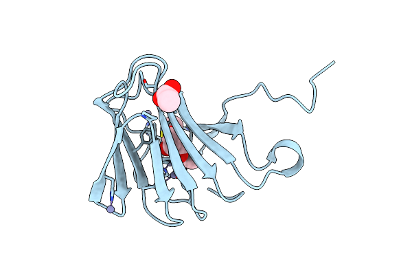 6J4B image