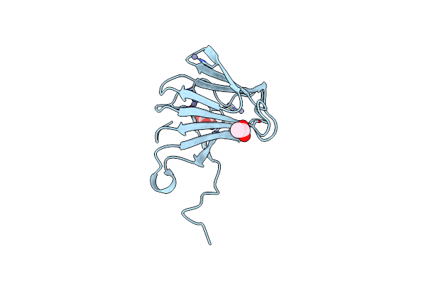 6J4C image