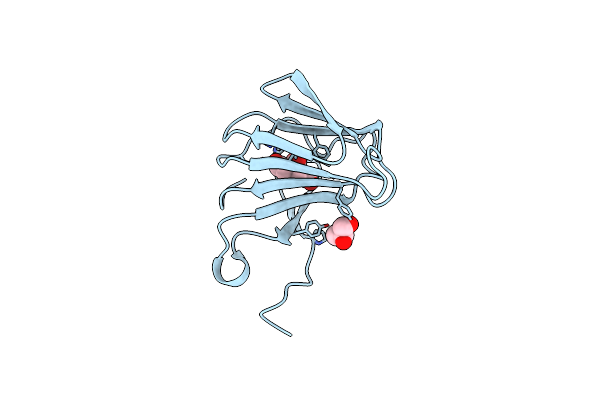 6J4D image