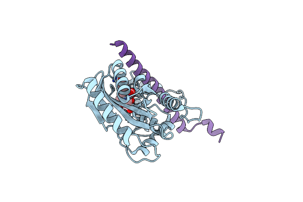 6J4P image
