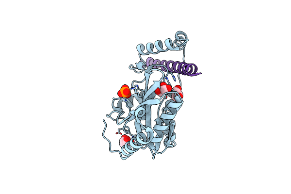 6J4S image