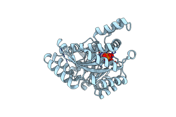 6J4T image