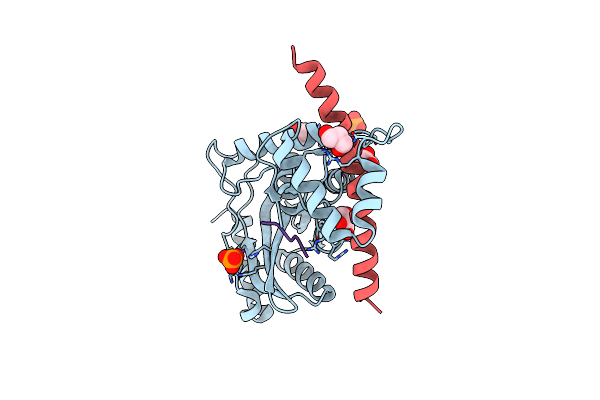 6J4V image